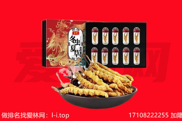 鹰手营子矿区回收虫草.jpg